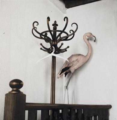 flamingo-restaurant-arles